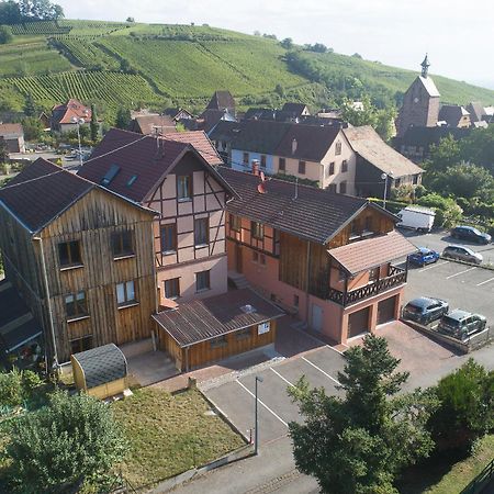 Pinot Gris - Charmant Studio Au Coeur Du Vignoble - Parking Gratuit Riquewihr Bagian luar foto